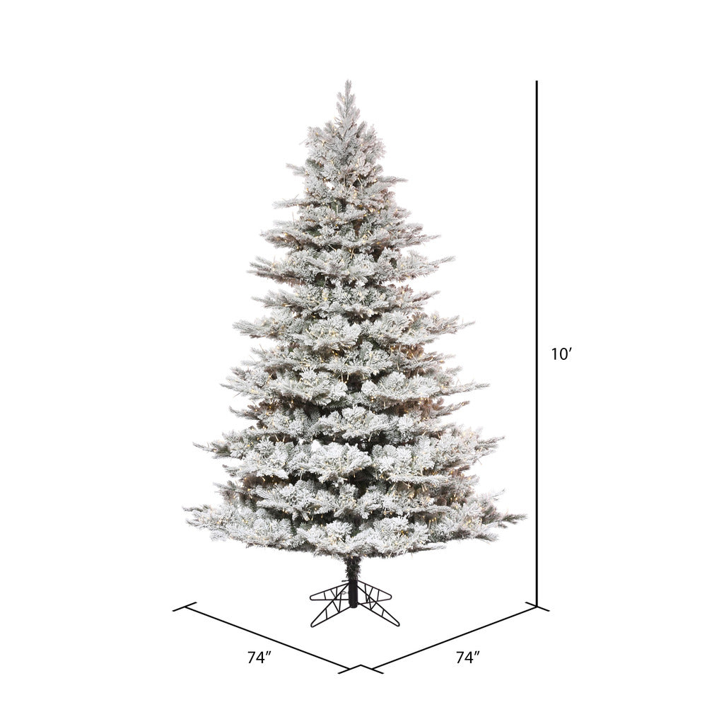 Vickerman 10' x 74" Flocked Kiana Christmas Tree Low Voltage LED Warm White Lights.
