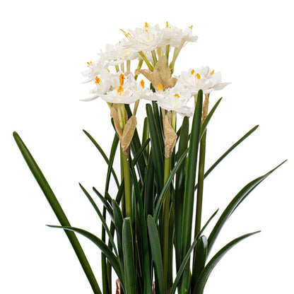 Vickerman 16.5" Artificial White Daffodil in Ceramic Pot.