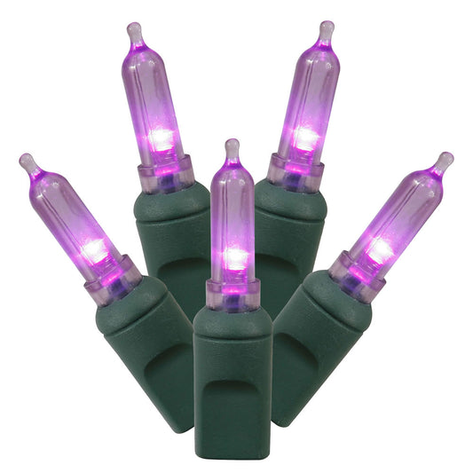 Vickerman 100 Purple Italian LED Single Mold Light Green Wire 34' Christmas Light Strand