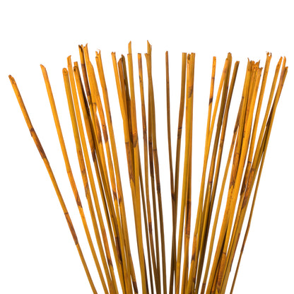 Vickerman 40" Aspen Gold Elephant Reed 10 oz Bundle Dried