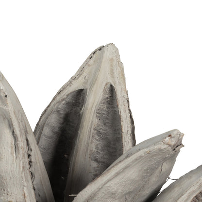Vickerman 6" Gray Wash Star Pod 1 piece Dried