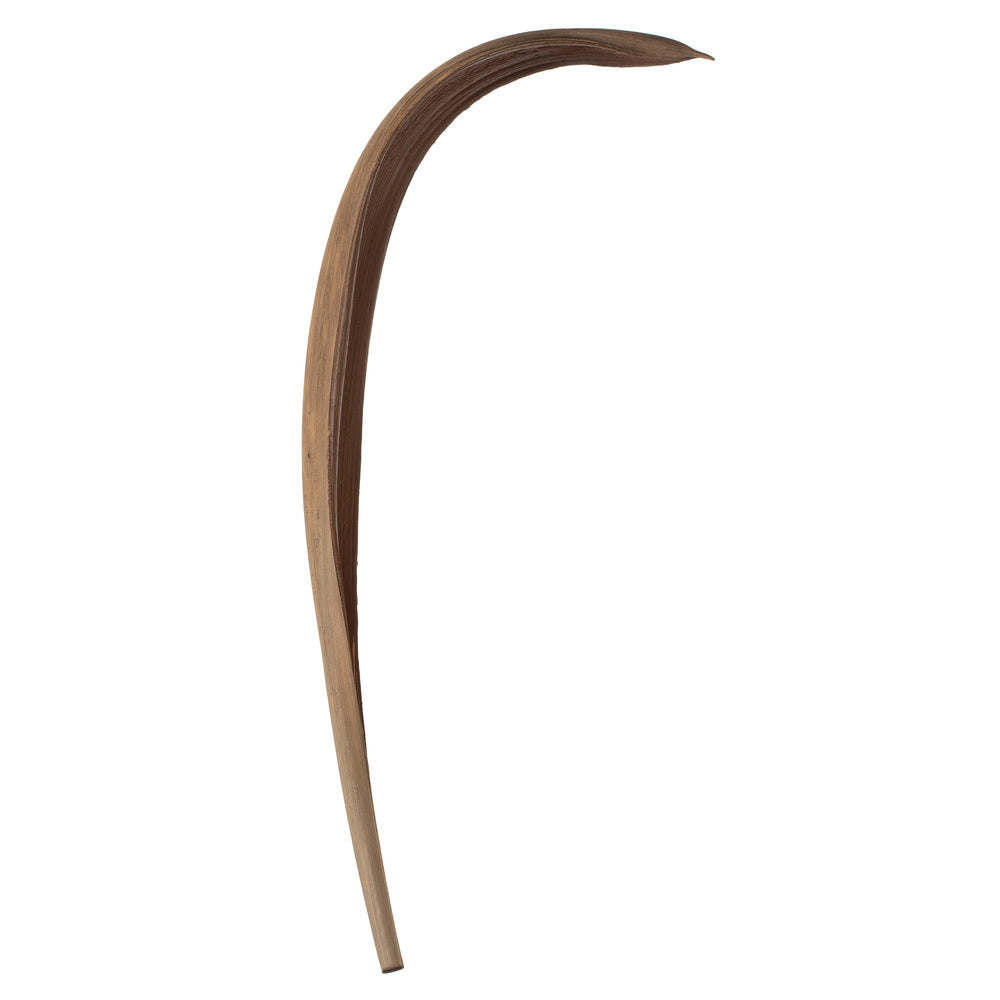 Vickerman 33-40" Natural Palm Paddle 3 pack Dried