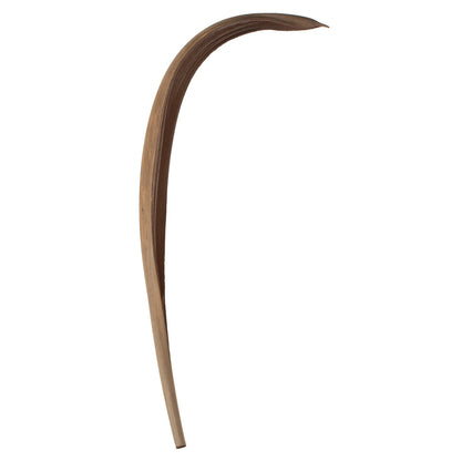 Vickerman 33-40" Natural Palm Paddle 3 pack Dried