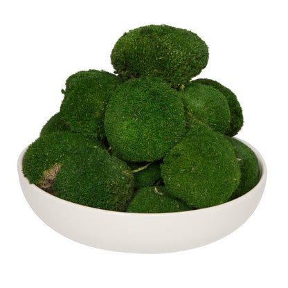 Vickerman Natural Botanicals 1  lb. Apple Green Pole Moss.