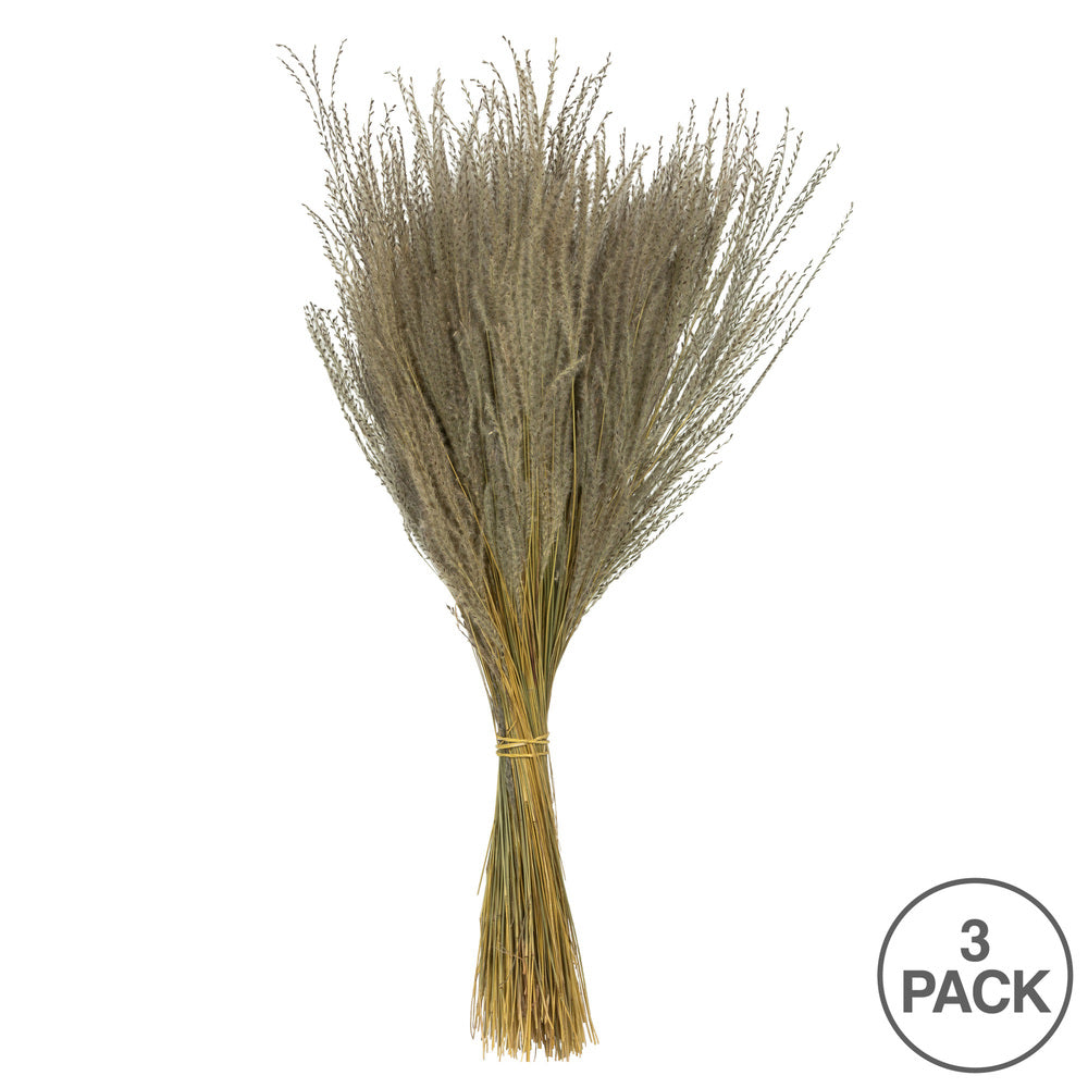 Vickerman 14-20" Natural Snowdrop Grass 3 pack Dried