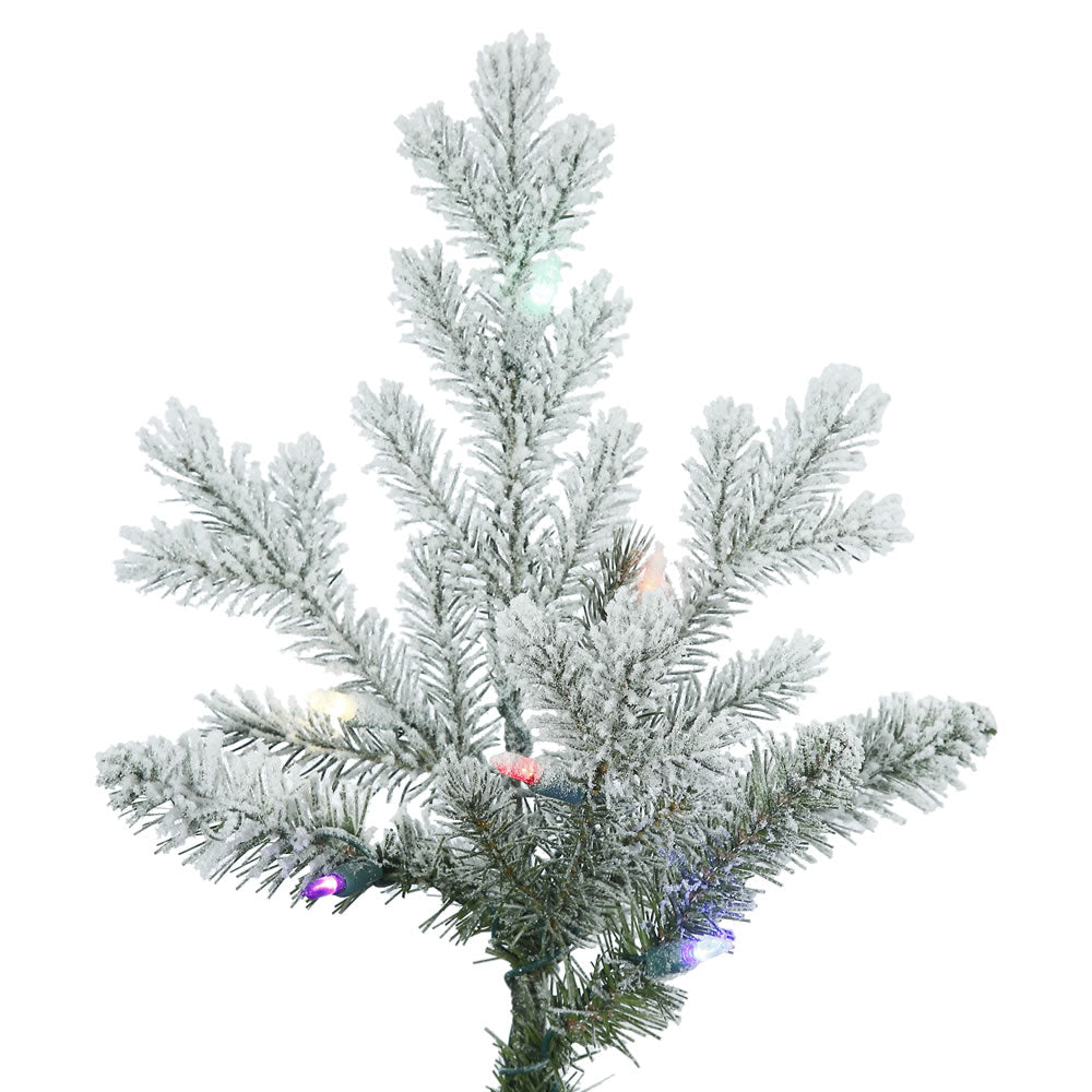 Vickerman 9' Frosted Eastern Fraser Fir Artificial Christmas Tree Multi-colored Dura-Lit LED lights