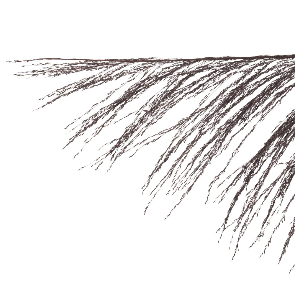Vickerman 60-72" Black Uva Palm Spray standing between 60 to 72 inches tall. Pack of 10.