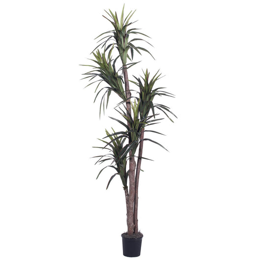 Vickerman 6.5' Artificial Marginata Executive Black Plastic Pot