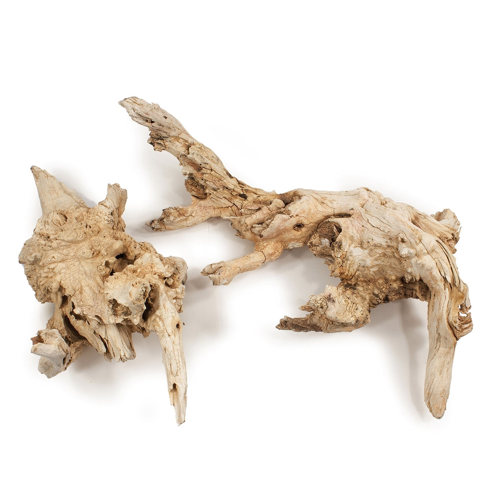 Vickerman 14-16" Bleached Roots - Amazonian Medium 1 piece Dried