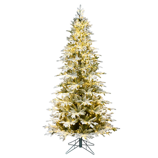 Vickerman 6.5' x 42" Flocked Kamas Fraser Tree Warm White Low Voltage 3MM LED Lights.