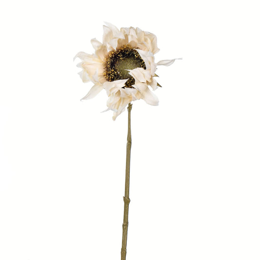 Vickerman 24" Artificial Ivory Sunflower Stem Set of 4