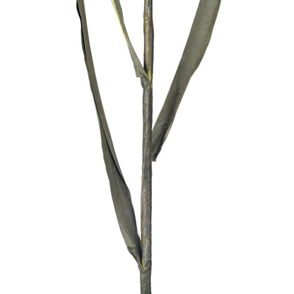 Vickerman 51" Pink Artificial Reed Spray 2 per bundle.