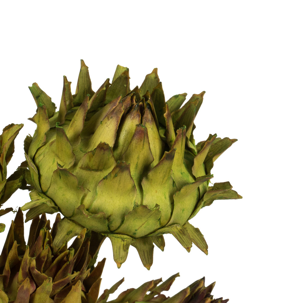 Vickerman 12" Basil Artichoke on a Decorative Natural Stem.  Includes 9 Stems per Pack Dried