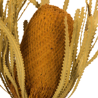 Vickerman 12" Jumbo Aspen Gold Banksia Flower with Dyed Foliage. Includes 3 Stems per Pack. Dried
