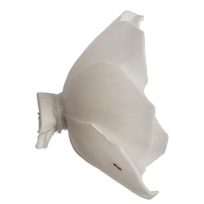 Vickerman Natural Botanicals 1.6"/2.4"/3.2" Assorted Natural Dried Gardenia Sola Flower Head 24/bag.