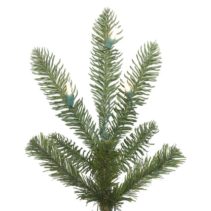 Vickerman 6' x 48" Alberta Spruce Artificial Christmas Tree with Warm White Dura-lit LED Lights