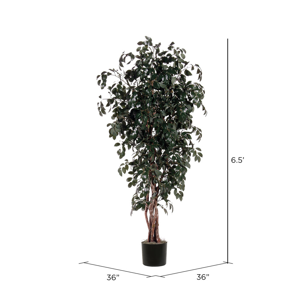 Vickerman 6.5' Artificial Marginata Executive Black Plastic Pot