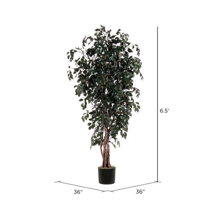 Vickerman 6.5' Artificial Marginata Executive Black Plastic Pot