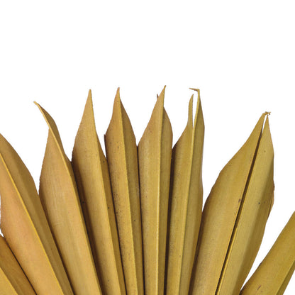 Vickerman Natural Botanicals 13.75 - 19.5" Aspen Gold Dried Palm Sun Spear 12 per bag.
