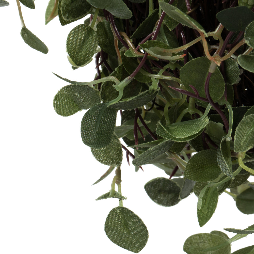 Vickerman 6" Artificial Green Angel Vine kissing ball.