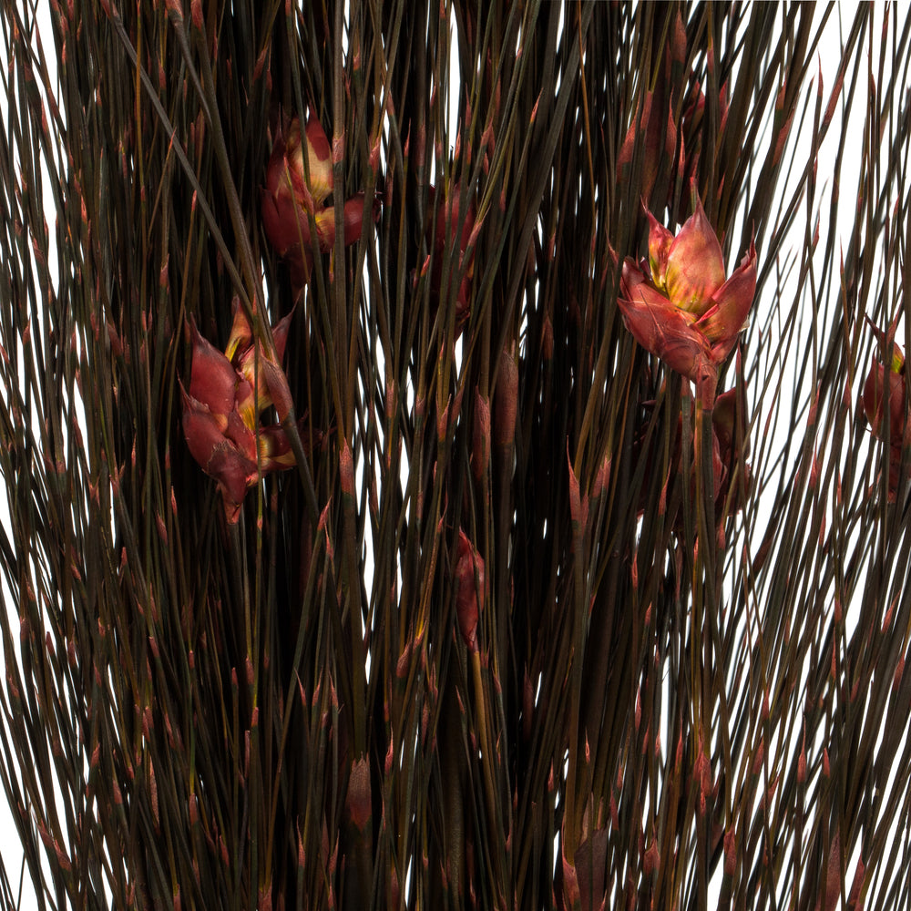 Vickerman 36-40" Red Bell Grass with Seed Pods 8-9 oz Bundle Preserved
