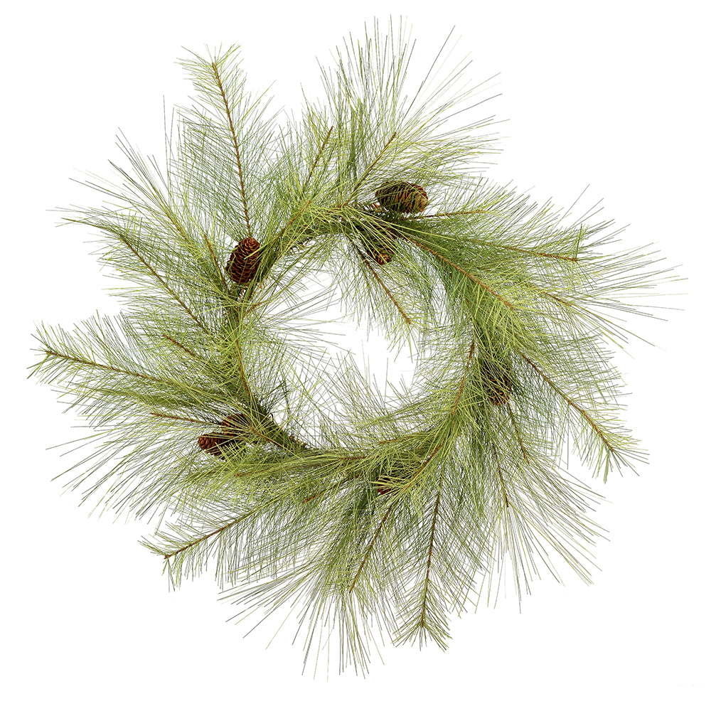 Vickerman 24" Hugo Pine Artificial Christmas Wreath Unlit