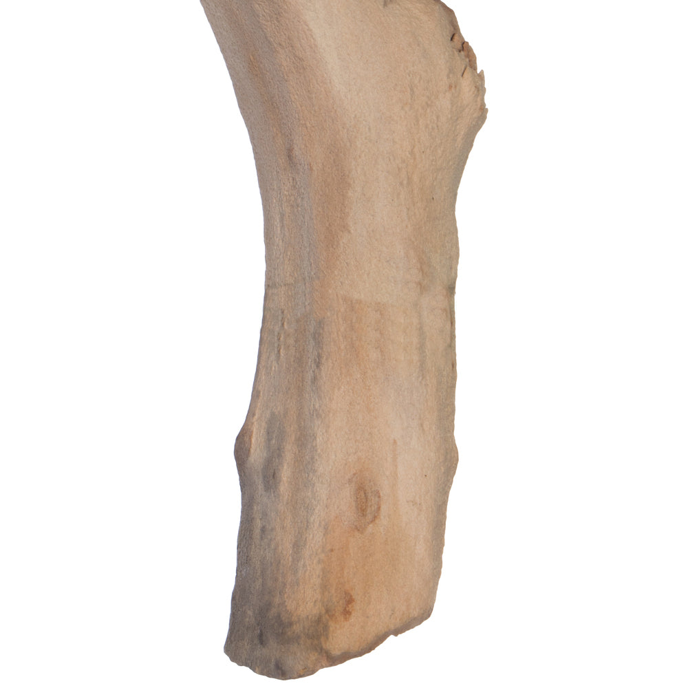 Vickerman Manzanita Tree Sand Blasted 24" Dried