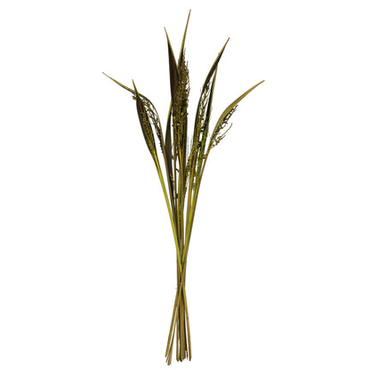 Vickerman 36" Basil Bahia Spears Seeded 9 stems Dried
