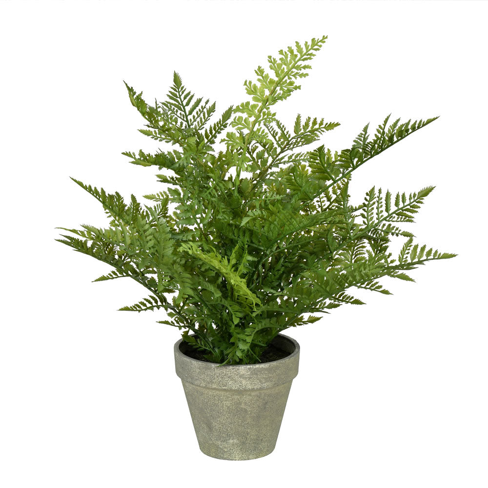 Vickerman 19" Artificial Green Potted Fern.