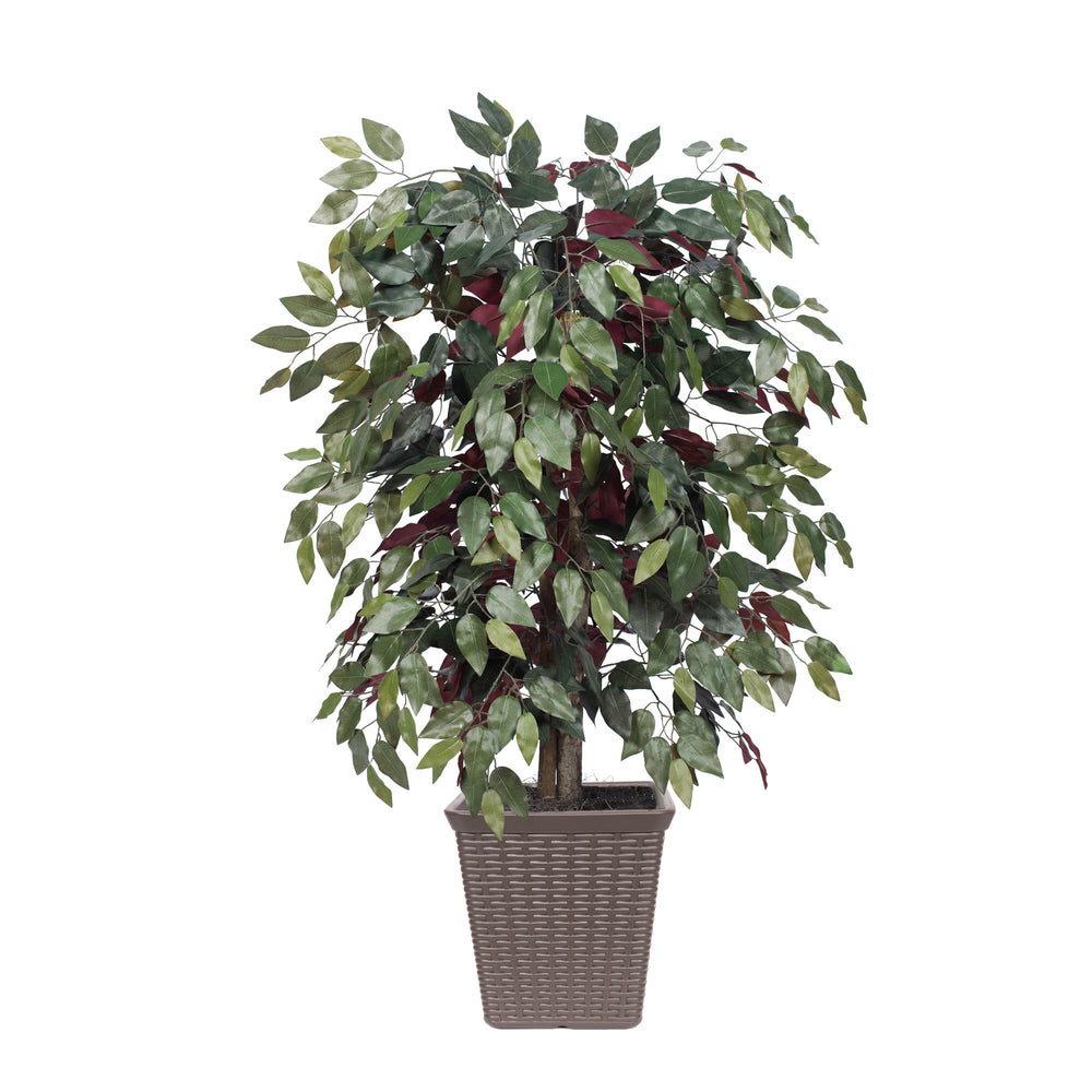 Vickerman 4' Artificial Capensia Bush Brown Square Plastic Basket.