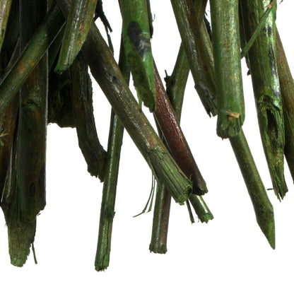 Vickerman 35-40" Foliage Green Moneta Branches 8 oz Bundle Dried