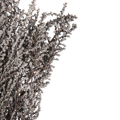 Vickerman 14-18" Silver White Stoebe Bundle