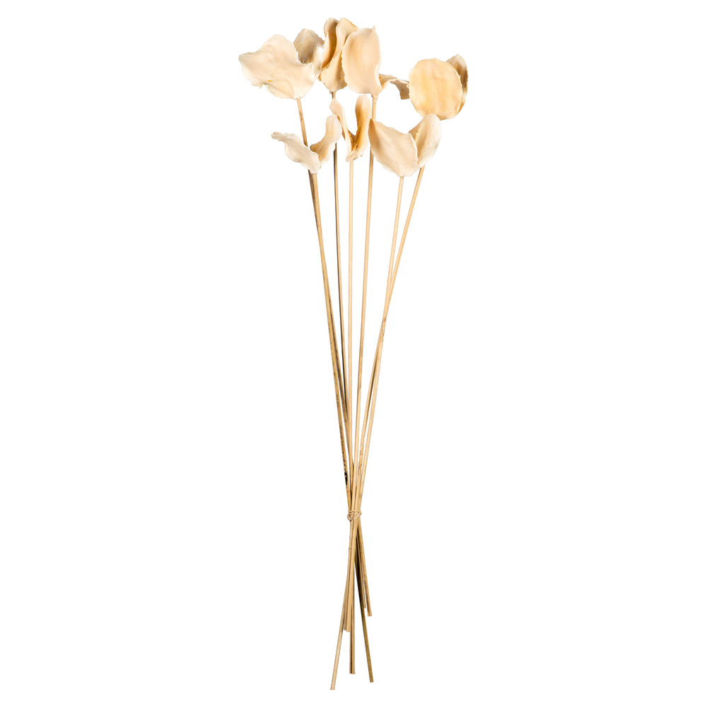 Vickerman 15-17" Bleached Jacaranda Pod on Stem. Includes 21 Stems (3 -7 Stem Bundles) Dried