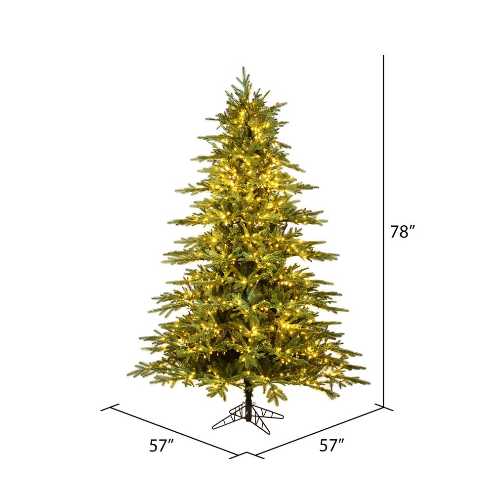 Vickerman 6.5' x 57" Kamas Fraser Fir Tree 1200 Warm White Low Voltage 3MM LED Lights.