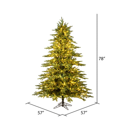 Vickerman 6.5' x 57" Kamas Fraser Fir Tree 1200 Warm White Low Voltage 3MM LED Lights.