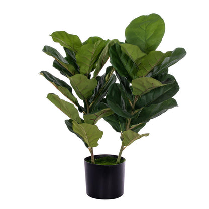 Vickerman 31" Two Stem Green Fiddle Leaf in Woven Basket. The pot measures 7" x 7" x 7.5".