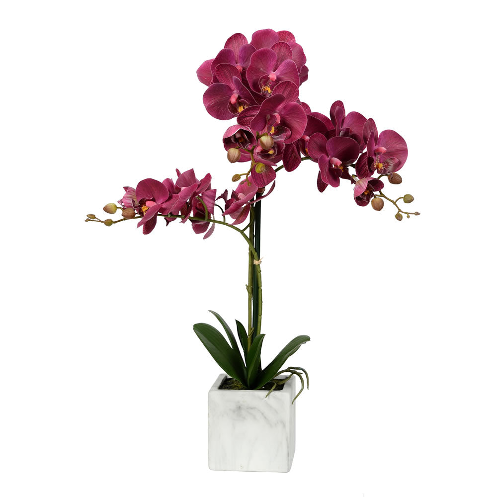 Vickerman 25" Artificial Plum Phalaenopsis In Stone Pot.