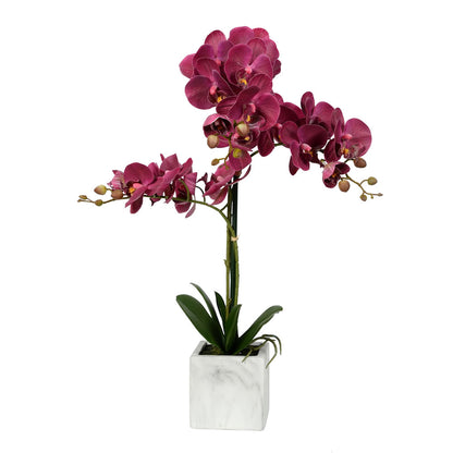 Vickerman 25" Artificial Plum Phalaenopsis In Stone Pot.