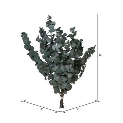 Vickerman Natural Botanicals 18-20" x 9" Eucalyptus Spiral Green 100 grams per bunch