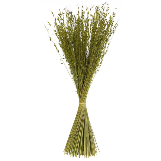 Vickerman 30" Basil Princess Grass. Comes in 21oz (3 -7oz Bundles) Dried
