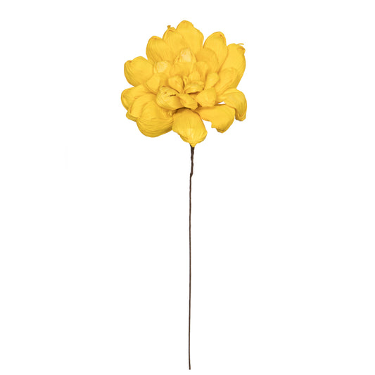 Vickerman Natural Botanicals 6" Yellow Maize Dahlia on 18" wire stem- 6 stem/bag. Peserved.