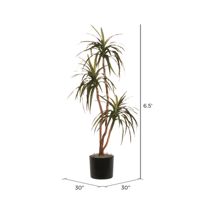 Vickerman 6.5' Artificial Marginata Deluxe Black Plastic Pot