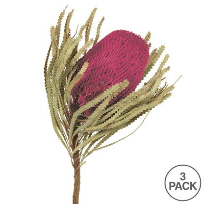 Vickerman 12" Jumbo Purple Orchid Banksia Flower with Stem. Includes 3 Stems per Pack. Dried