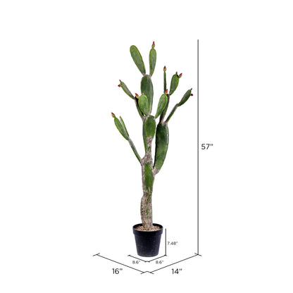 Vickerman 57" Artificial Green Cactus Black Plastic Planters Pot.