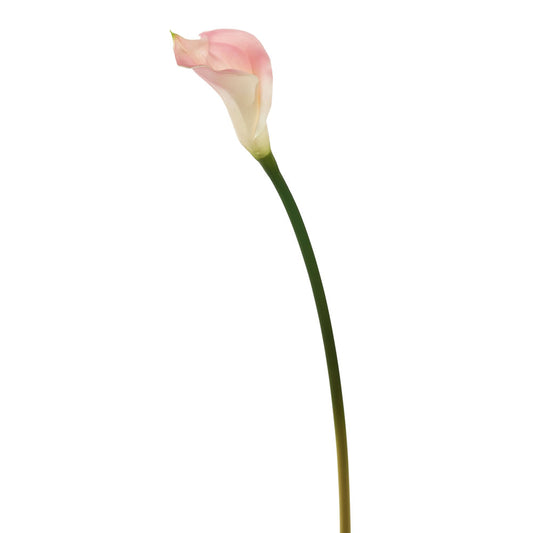 Vickerman 26'' Artificial Pink Calla Lily Stem 6 per Bag