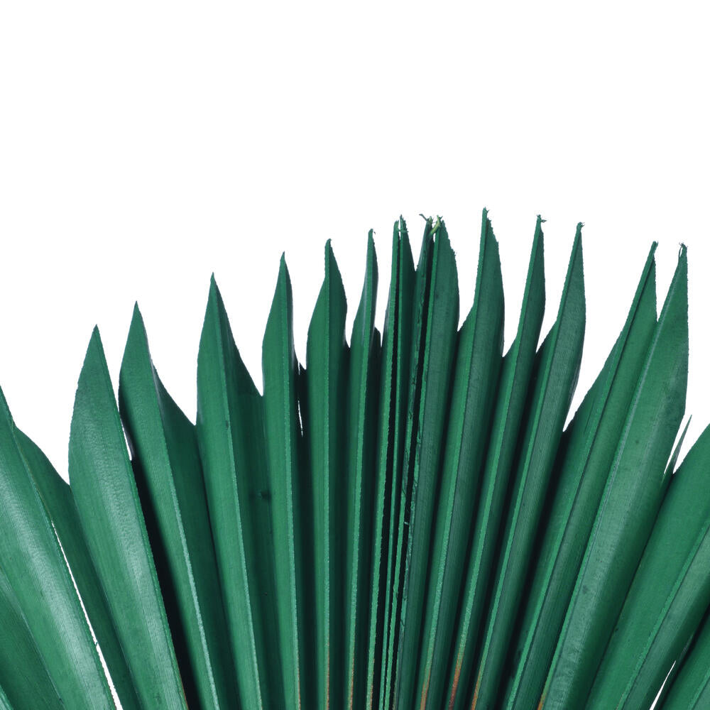 Vickerman Natural Botanicals 13.75 - 19.5" Emerald Dried Palm Sun Spear 12 per bag.