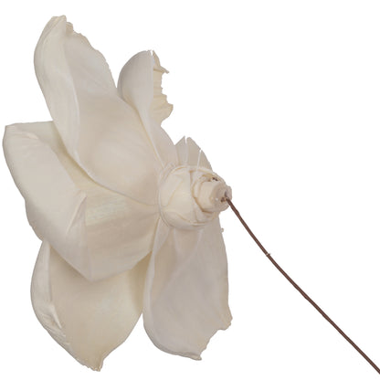 Vickerman Natural Botanicals 4" Jonquil Sola Flower on 12" Stem - 12 stems/bag. Dried and preserved.