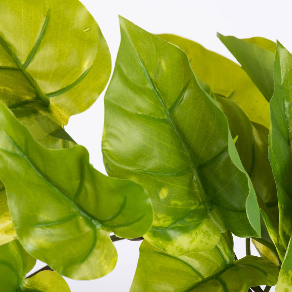 Vickerman 24" Artificial Green Pothos Leaf Bush Vine Pack of 2