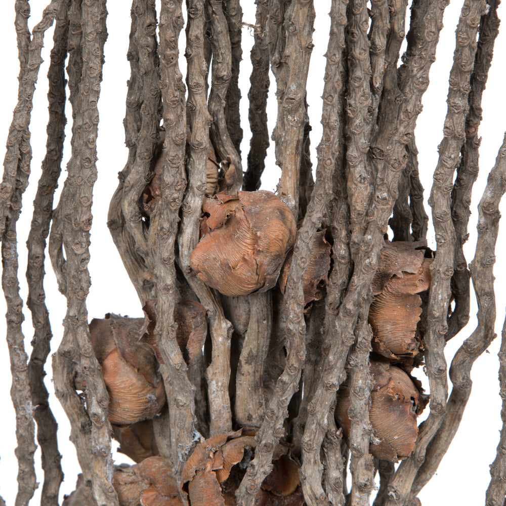 Vickerman Natural Botanicals 32" Coco Jhar Natural. Includes 10  pieces per Pack.