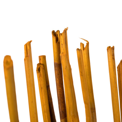 Vickerman 40" Aspen Gold Elephant Reed 10 oz Bundle Dried